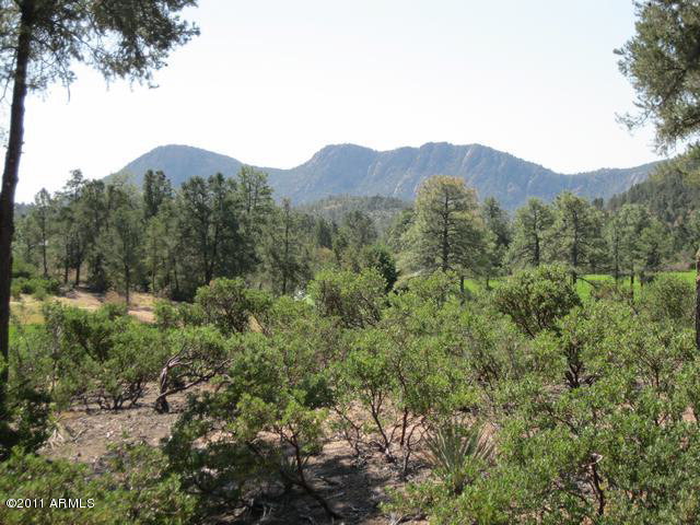 507 South Rim Club Drive, Unit 16 Payson, AZ 85541 - Photo 5 of 5 Photo 5