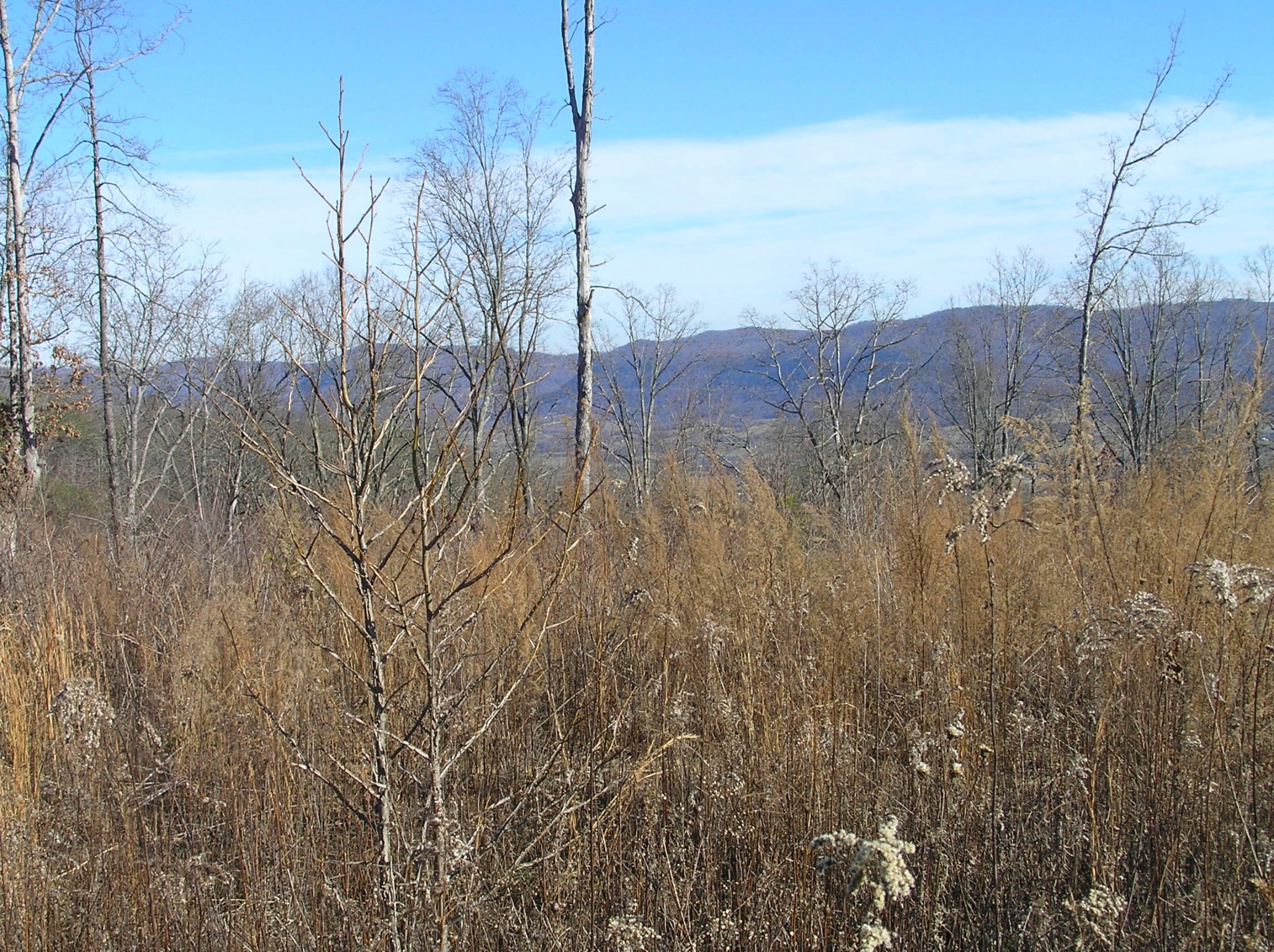 0 Big Spring Gap Road Crossville, TN 38572 - Photo 37 of 48 Gallery Image 37