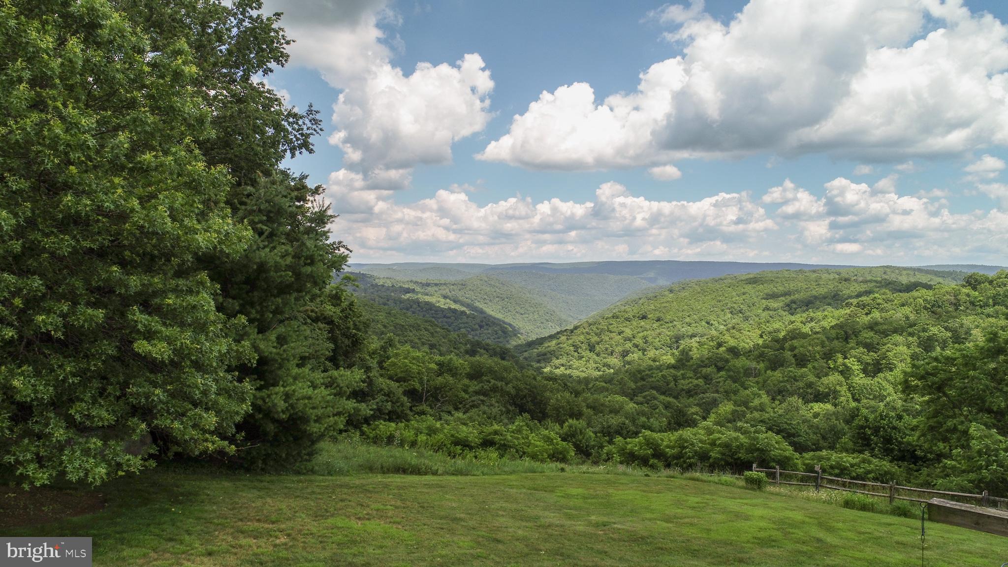 134 Misty Mountain Road Swanton, MD 21561 - Photo 5 of 95
