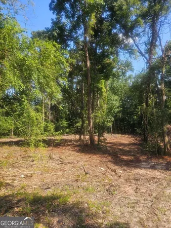 a view of a tree with a yard