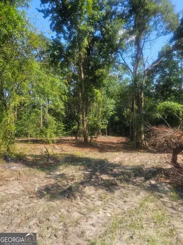 a view of a yard with a tree