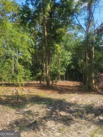 a view of a yard with a tree