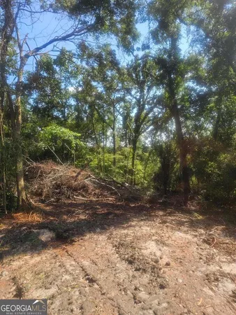 a view of a yard with plants and trees