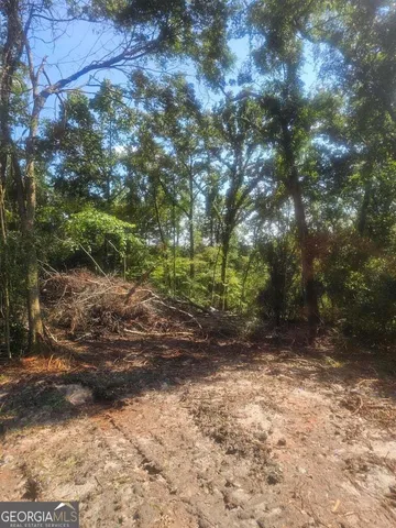 a view of a yard with plants and trees