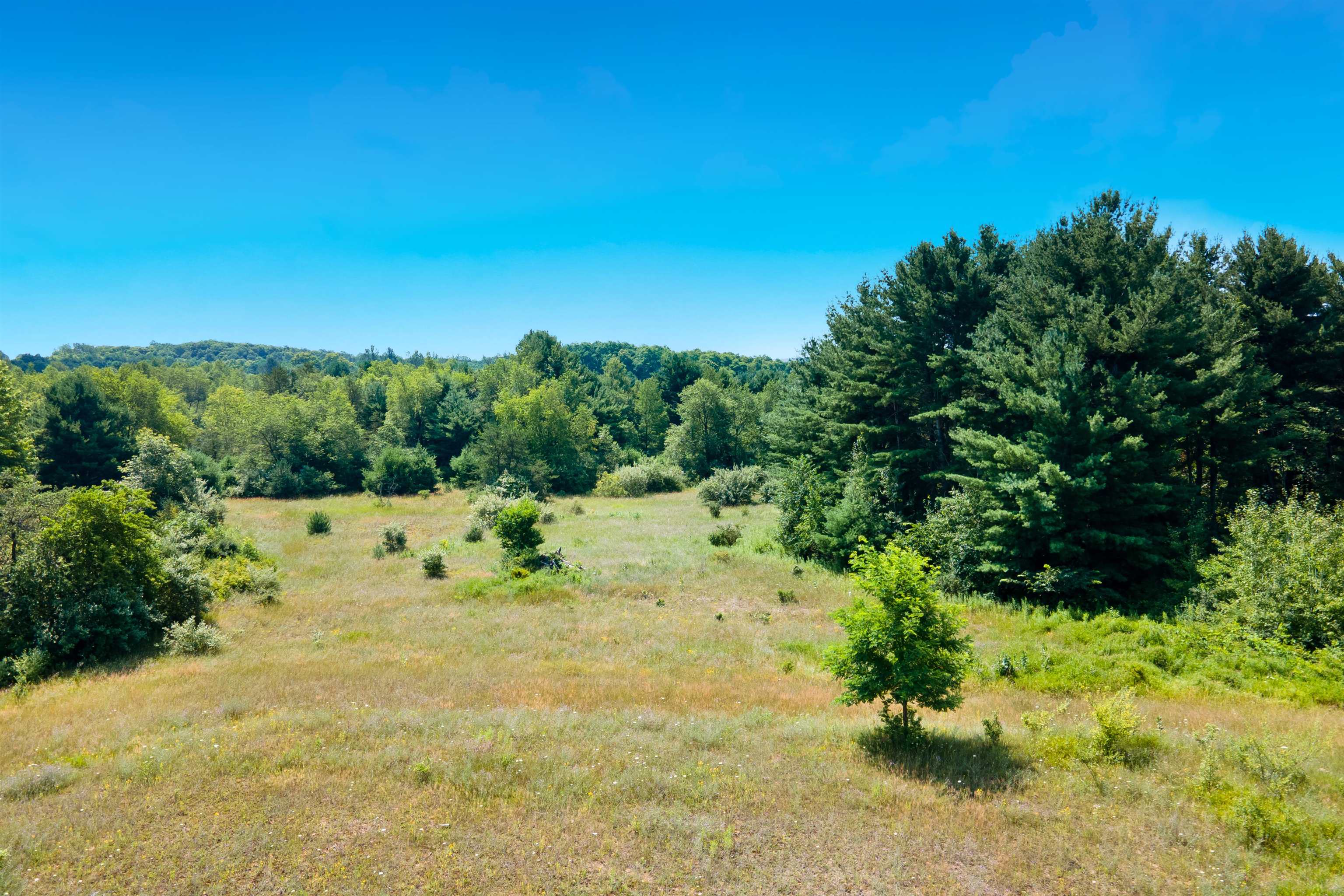 0 Love Road, Unit 0SOUTH STREET Benzonia, MI 49616 - Photo 7 of 20