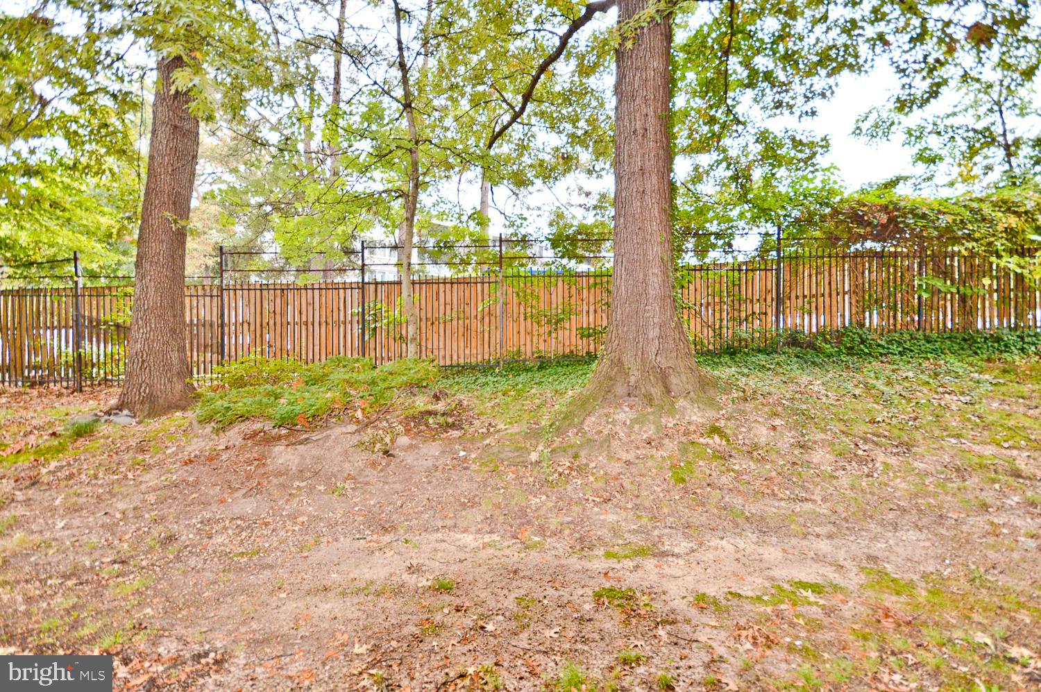 9280 Adelphi Road, Unit 102 Hyattsville, MD 20783 - Photo 26 of 28 Gallery Image 26