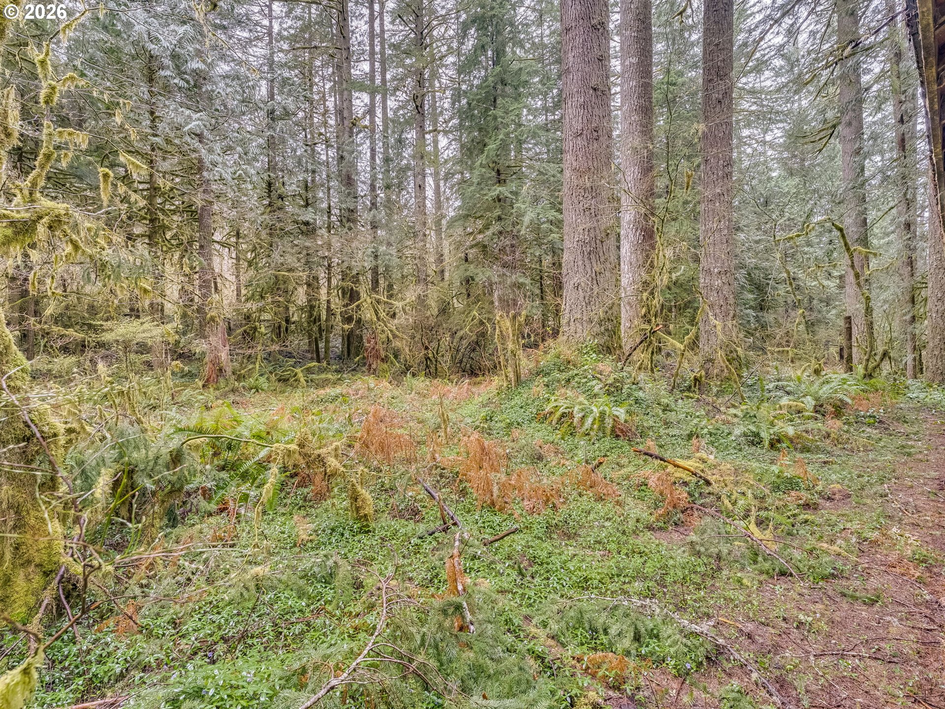 26715 Still Creek Road Rhododendron, OR 97049 - Photo 12 of 47