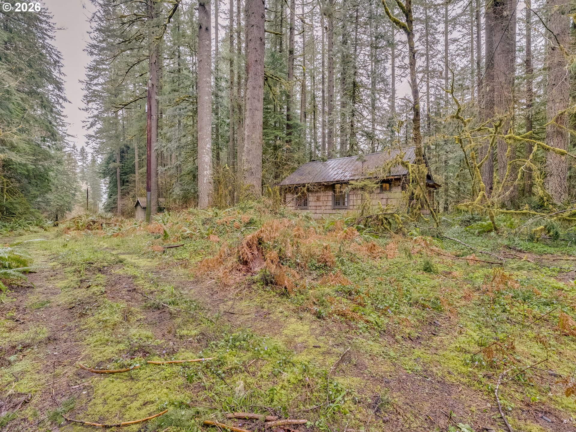 26715 Still Creek Road Rhododendron, OR 97049 - Photo 13 of 47
