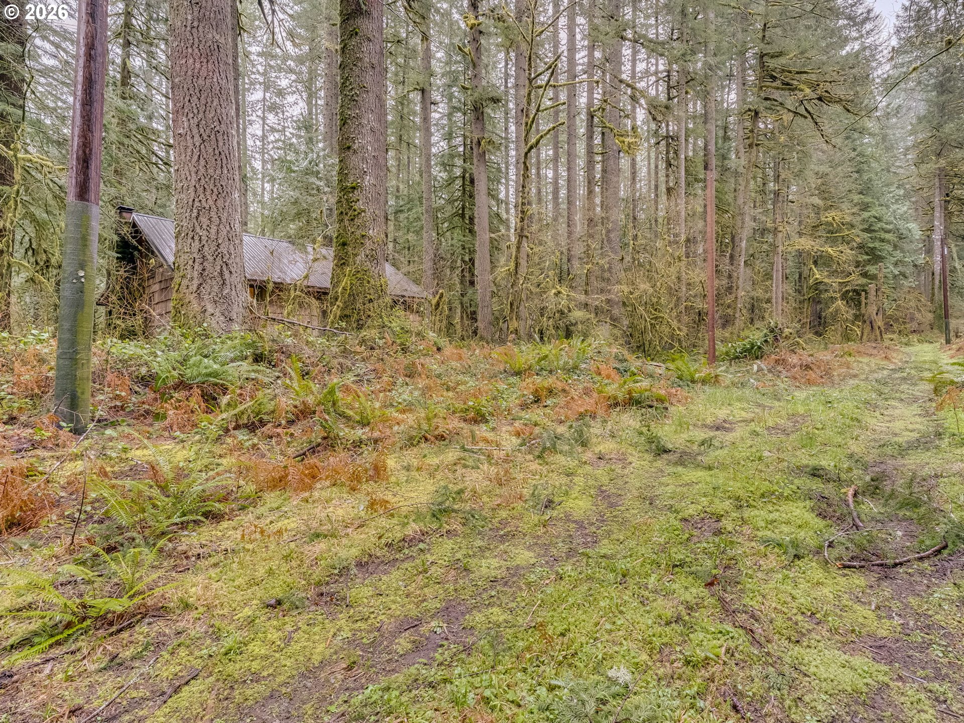 26715 Still Creek Road Rhododendron, OR 97049 - Photo 14 of 47