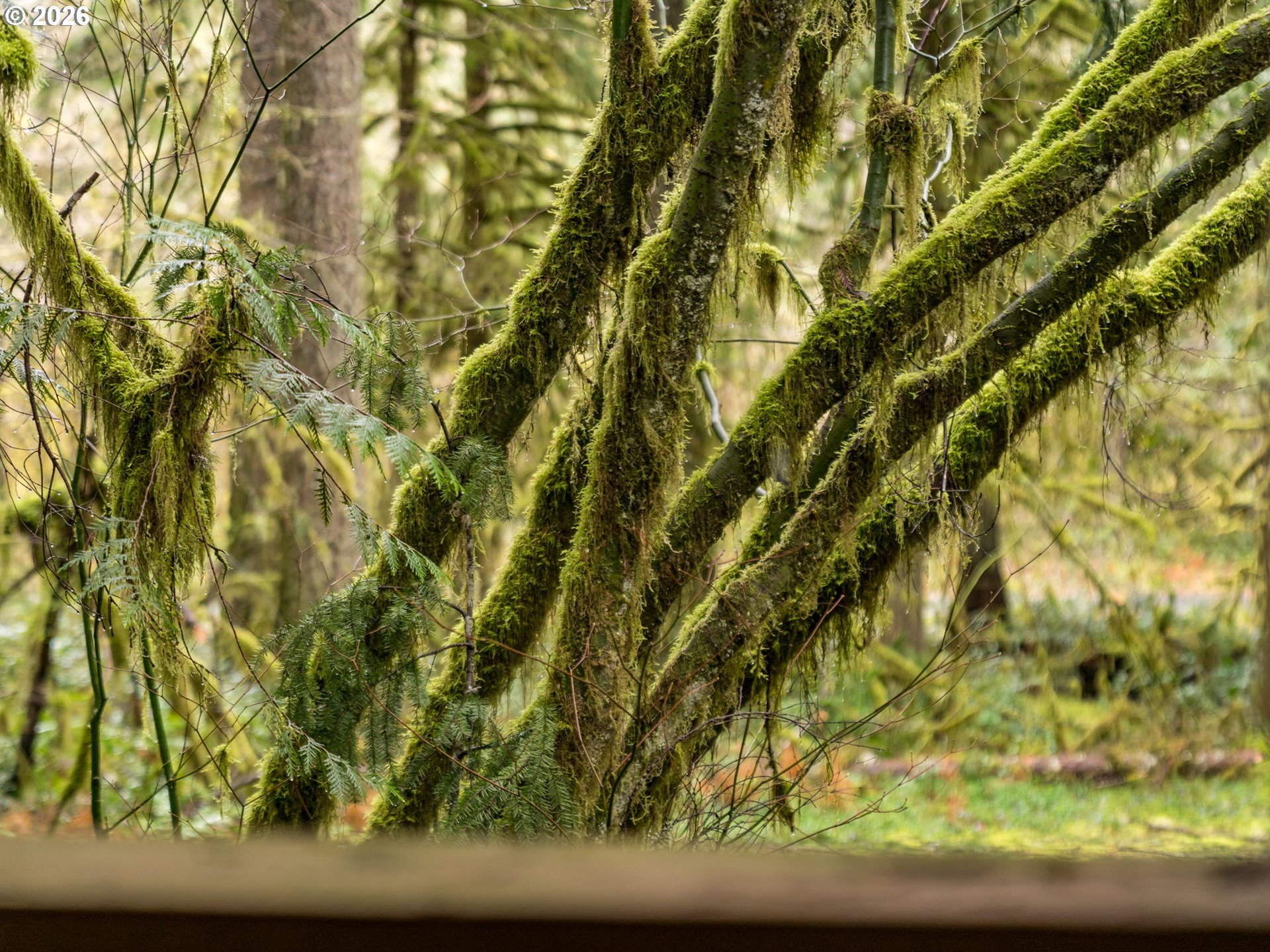 26715 Still Creek Road Rhododendron, OR 97049 - Photo 41 of 47