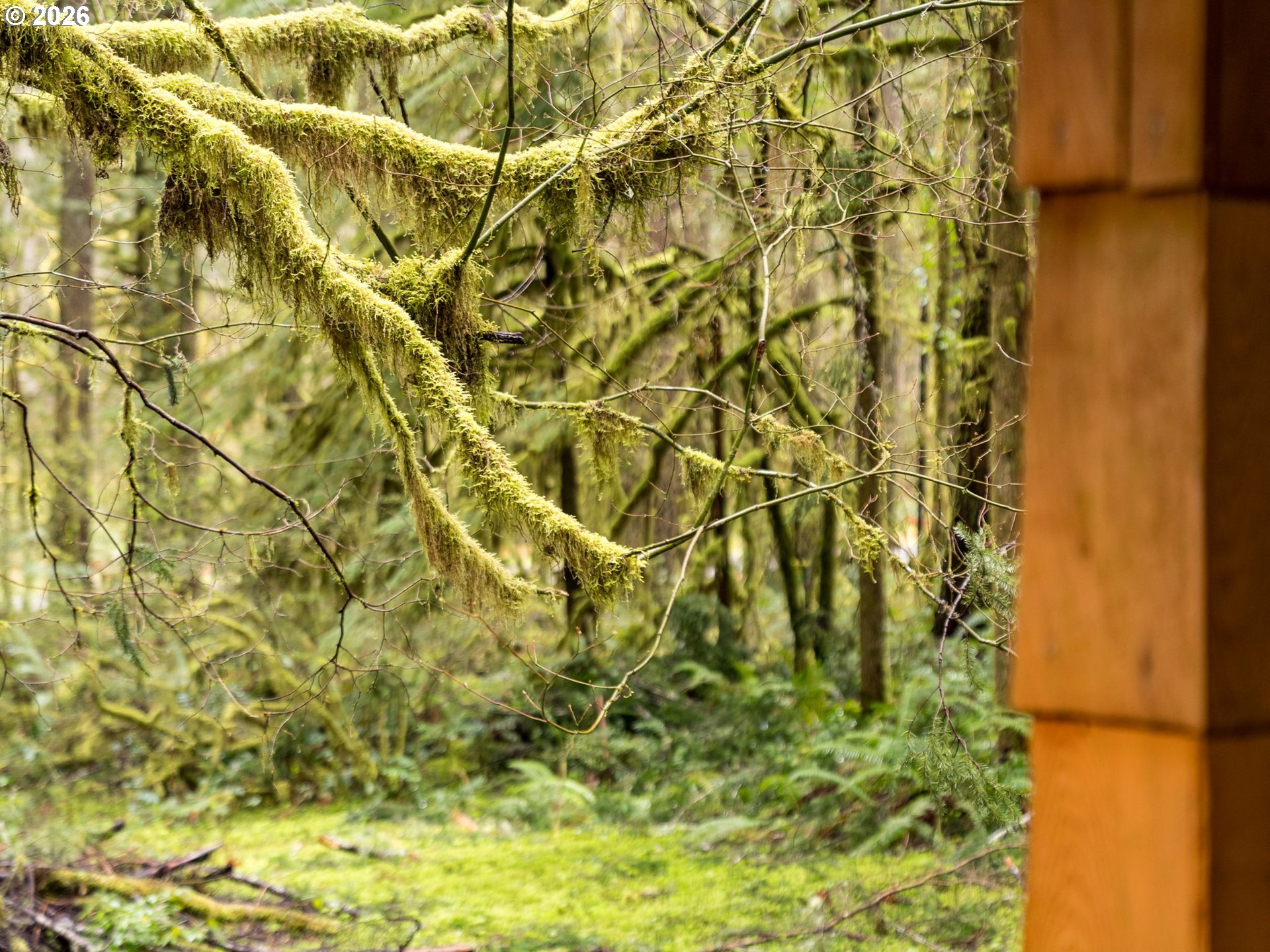 26715 Still Creek Road Rhododendron, OR 97049 - Photo 43 of 47