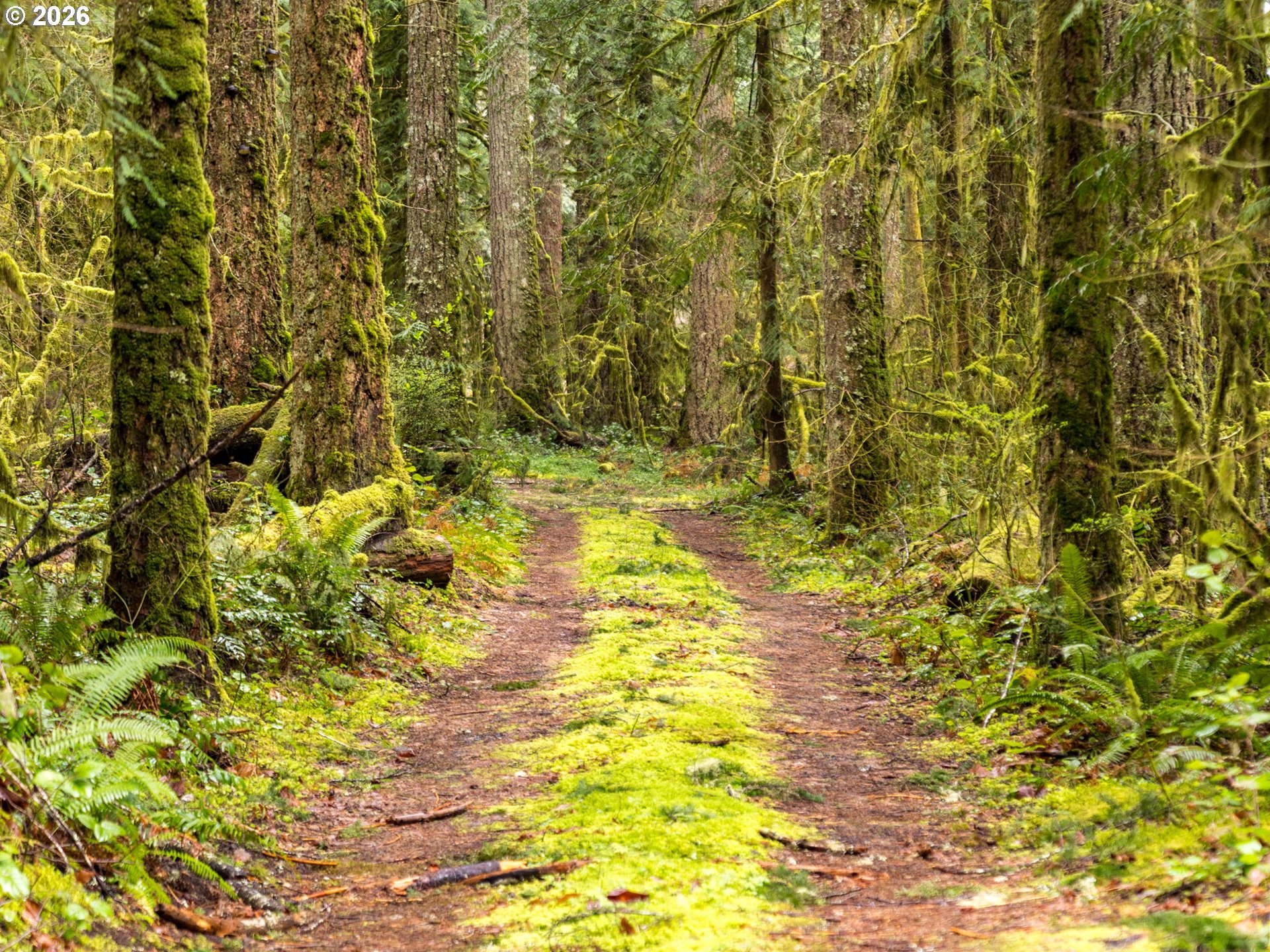 26715 Still Creek Road Rhododendron, OR 97049 - Photo 45 of 47
