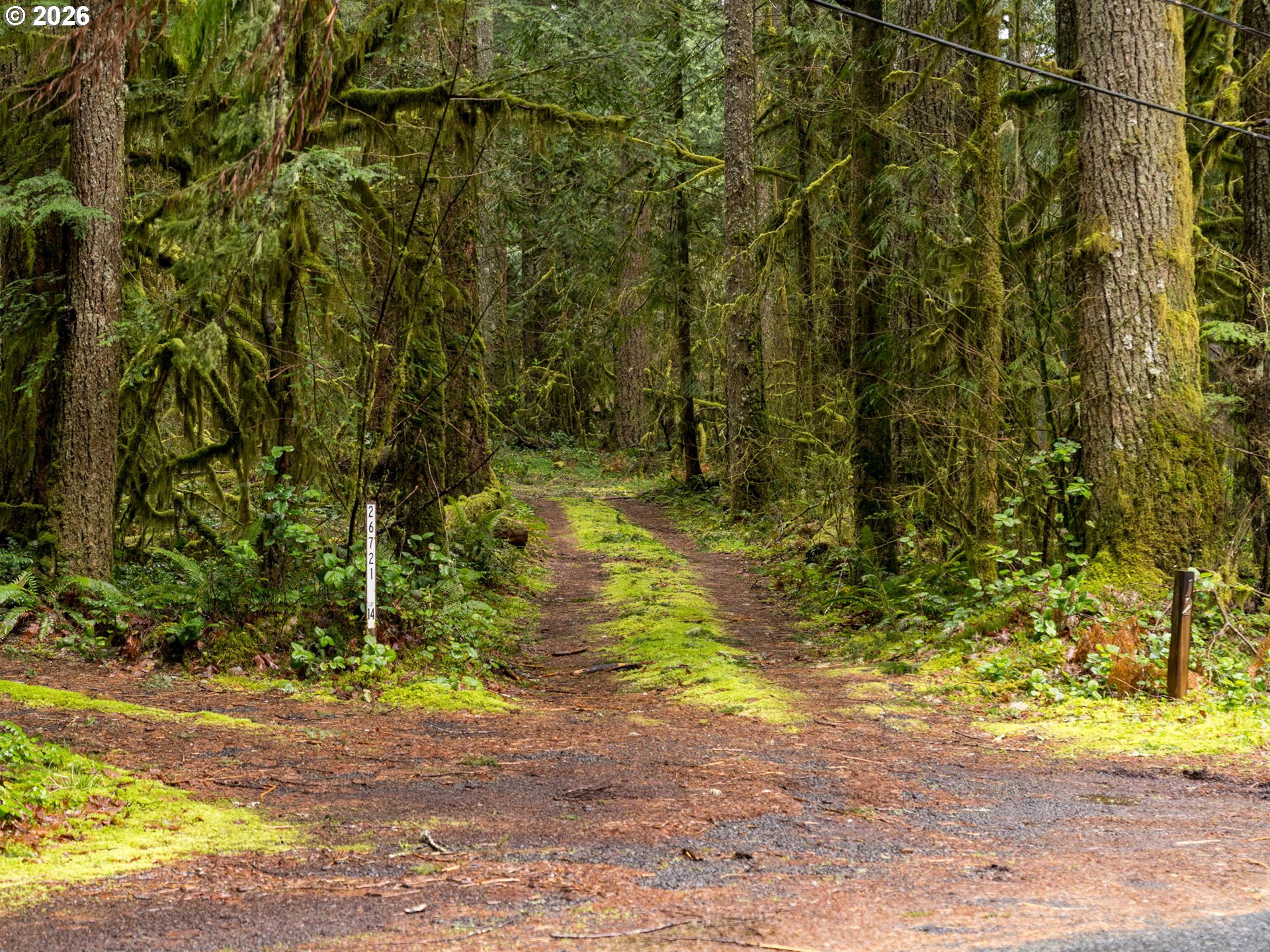 26715 Still Creek Road Rhododendron, OR 97049 - Photo 47 of 47