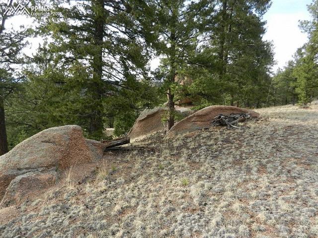 918 Old Ranch Road Florissant, CO 80816 - Photo 9 of 13 Gallery Image 9
