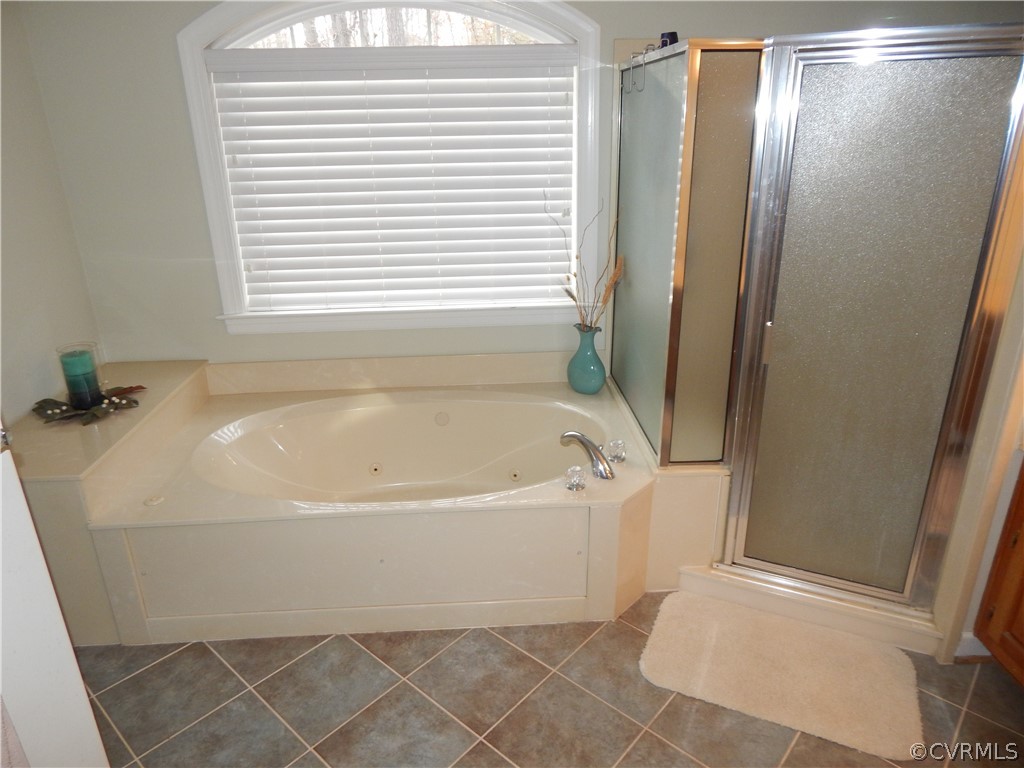 1389 Palmore Road Powhatan, VA 23139 - Photo 30 of 38 1st floor Master Bath Tub and Shower