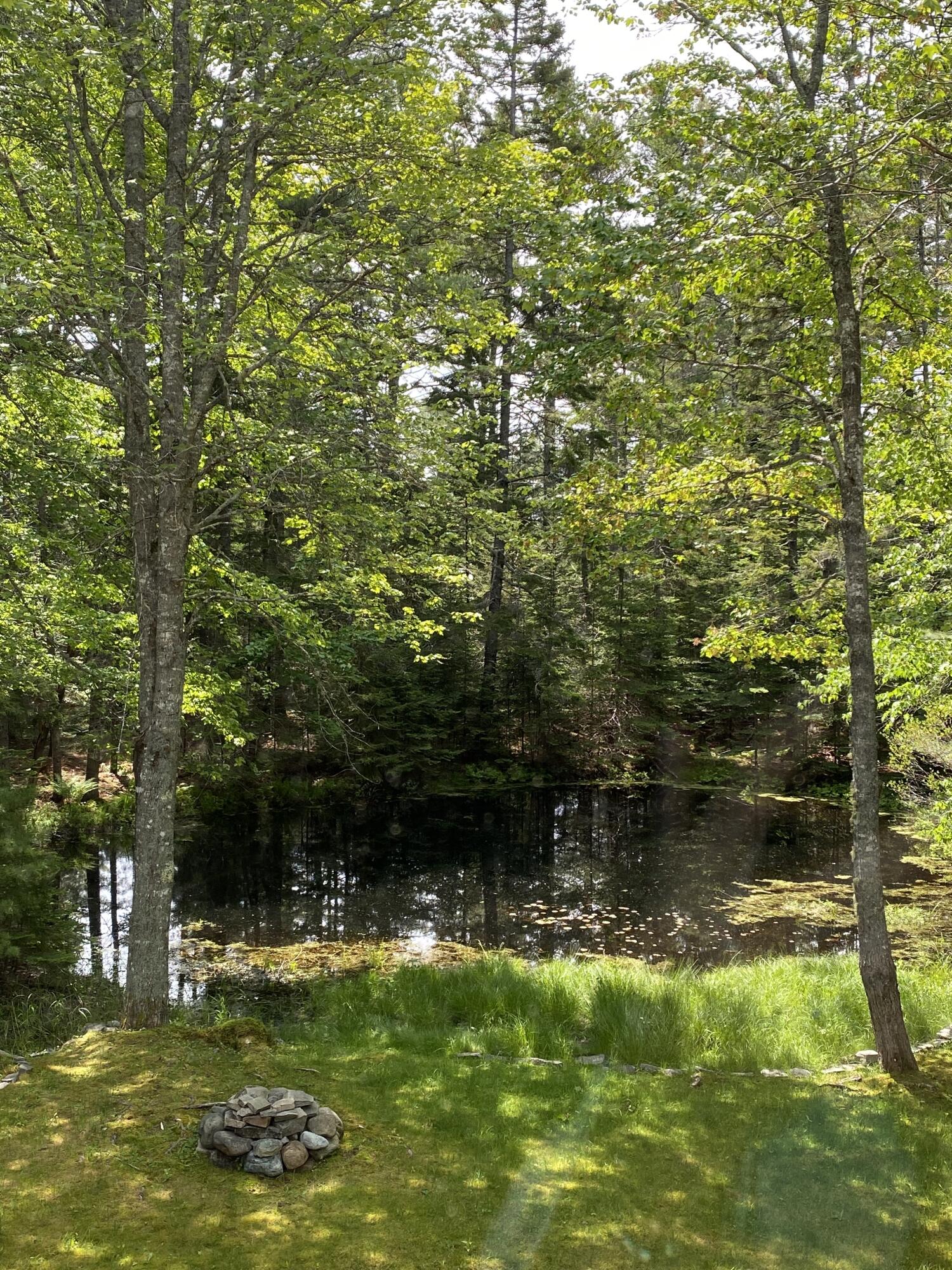 9 Hidden Path Way Mount Desert, ME 04660 - Photo 8 of 29 Backyard With Pond