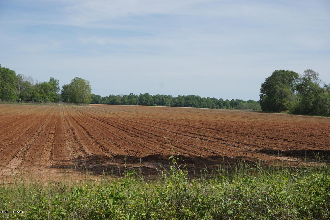 0 Old U S Road Malone, FL 32445 - Photo 1 of 10