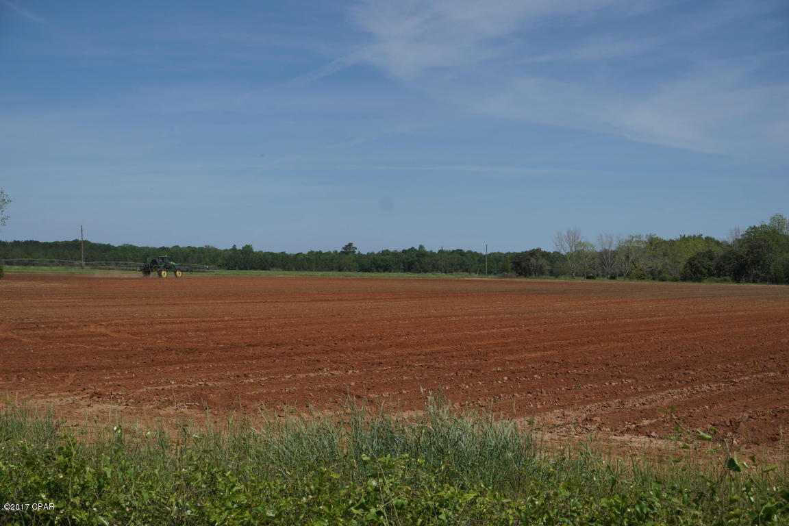 0 Old U S Road Malone, FL 32445 - Photo 2 of 10