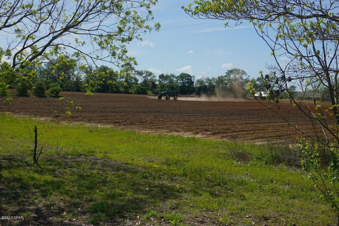 0 Old U S Road Malone, FL 32445 - Photo 6 of 10