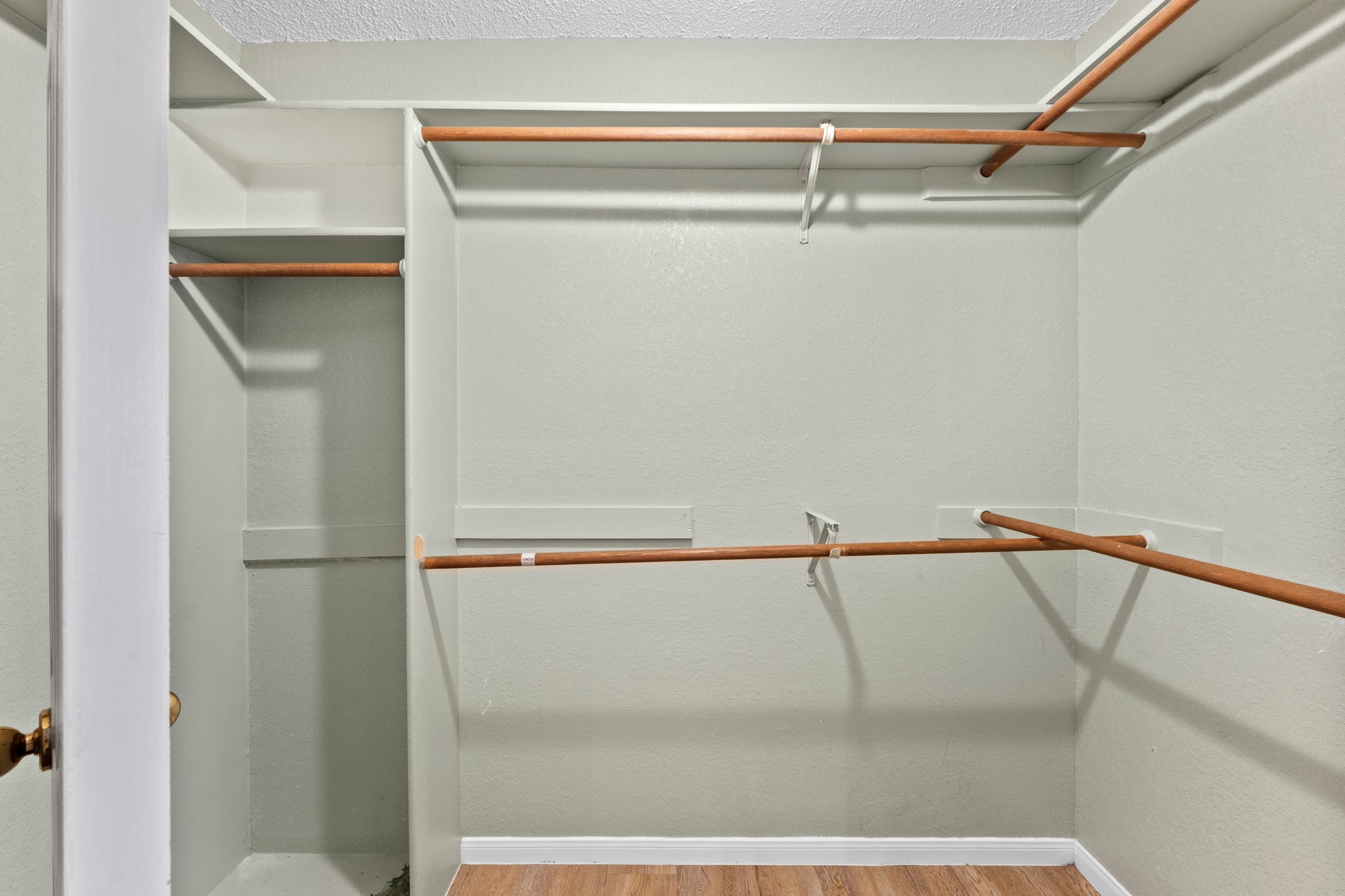 205 Sedro Trail Georgetown, TX 78633 - Photo 29 of 32 Ample storage options await within this well-appointed walk-in closet featuring functional shelving and hanging rods.