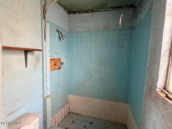 a bathroom with a shower and toilet