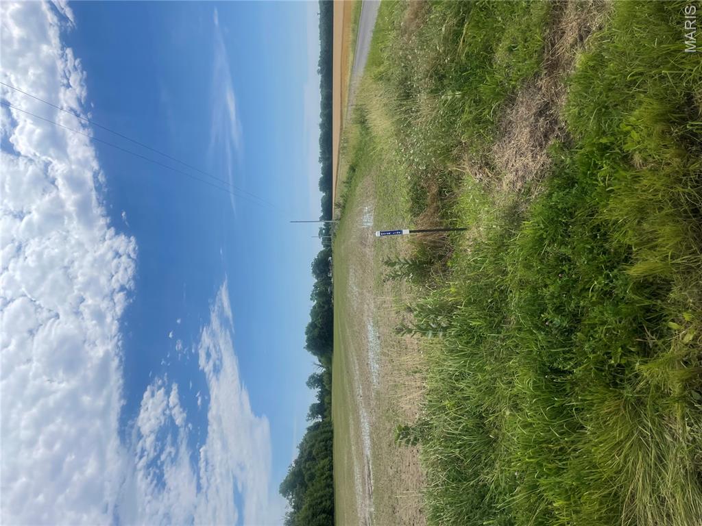 Xxx Louse Creek Road Patoka, IL 62875 - Photo 2 of 7