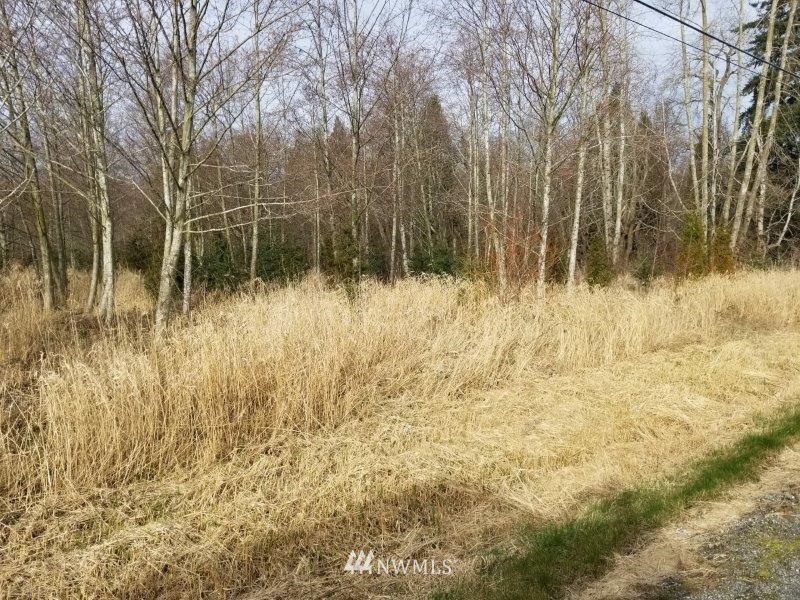 0 Kickerville Road Ferndale, WA 98248 - Photo 11 of 13
