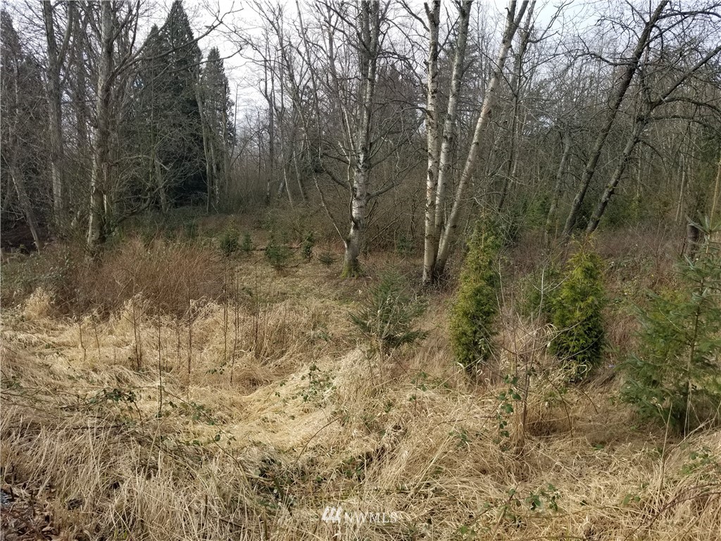 0 Kickerville Road Ferndale, WA 98248 - Photo 12 of 13