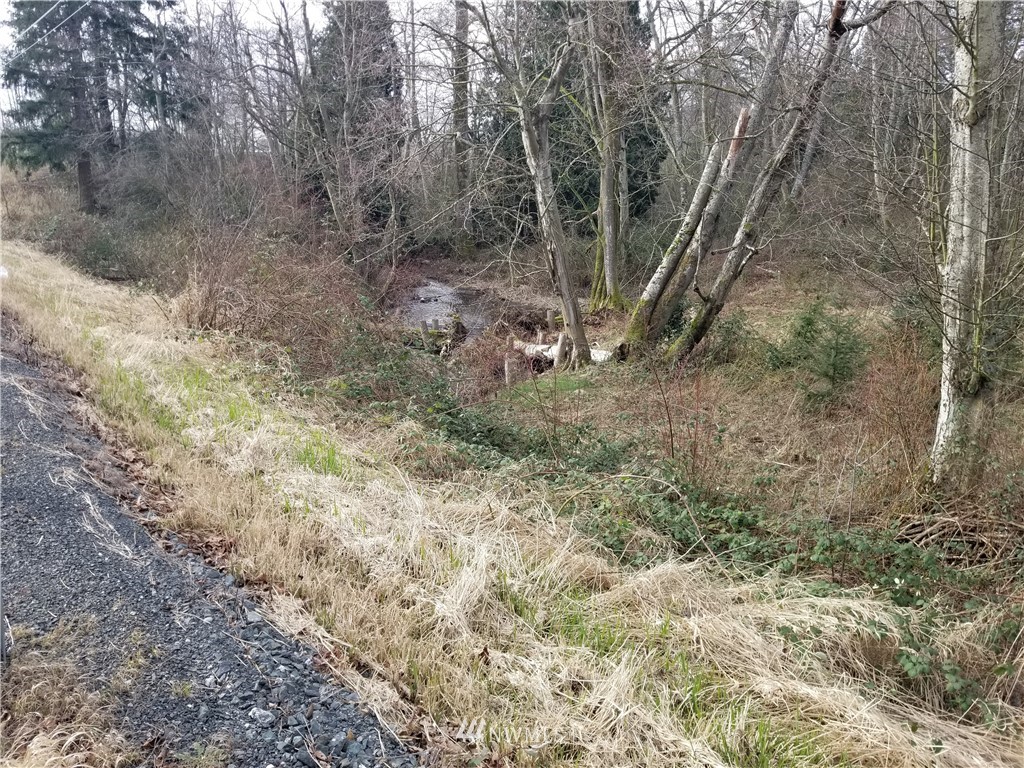 0 Kickerville Road Ferndale, WA 98248 - Photo 5 of 13