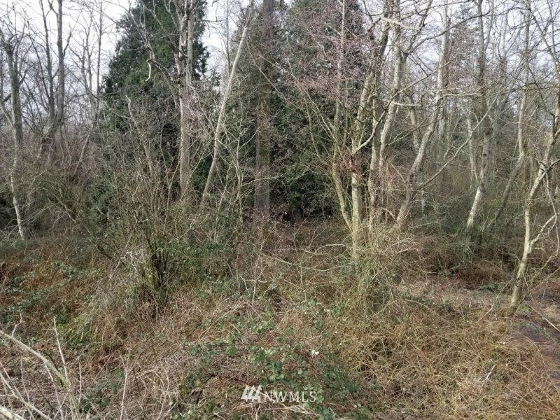 0 Kickerville Road Ferndale, WA 98248 - Photo 6 of 13