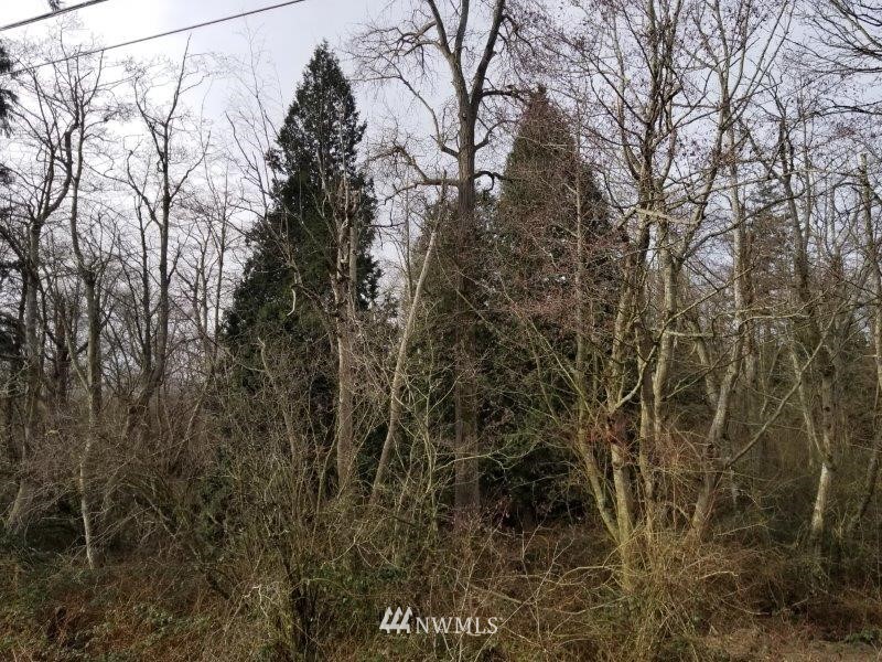 0 Kickerville Road Ferndale, WA 98248 - Photo 7 of 13