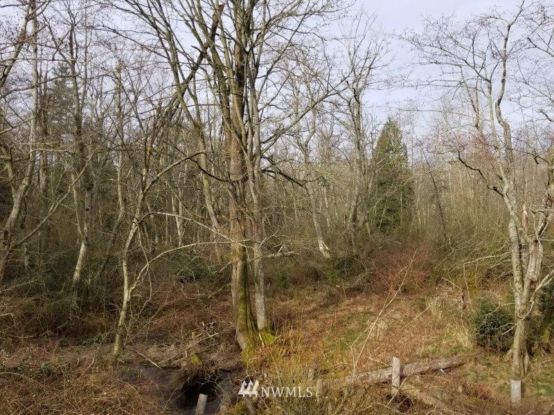 0 Kickerville Road Ferndale, WA 98248 - Photo 8 of 13