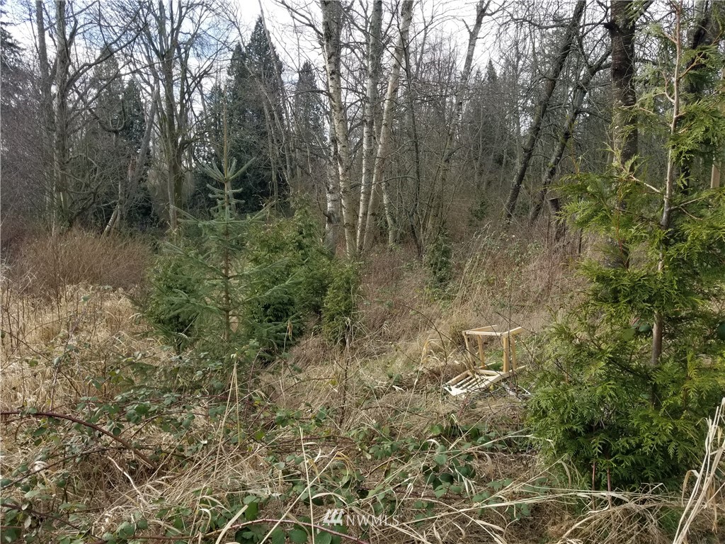 0 Kickerville Road Ferndale, WA 98248 - Photo 9 of 13