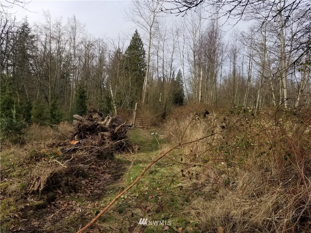 0 Kickerville Road Ferndale, WA 98248 - Photo 10 of 13