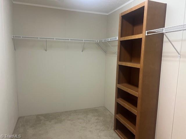 1065 Wagner Road Mocksville, NC 27028 - Photo 16 of 32 primary closet