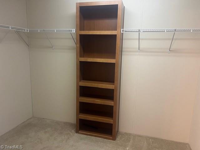 1065 Wagner Road Mocksville, NC 27028 - Photo 17 of 32 primary closet
