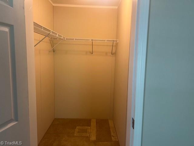 1065 Wagner Road Mocksville, NC 27028 - Photo 27 of 32 bedroom 1 closet