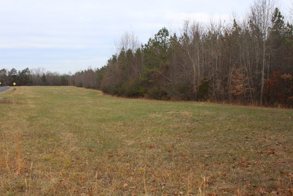 617 Stanton Town Road Dillwyn, VA 23936 - Photo 4 of 19 Gallery Image 4