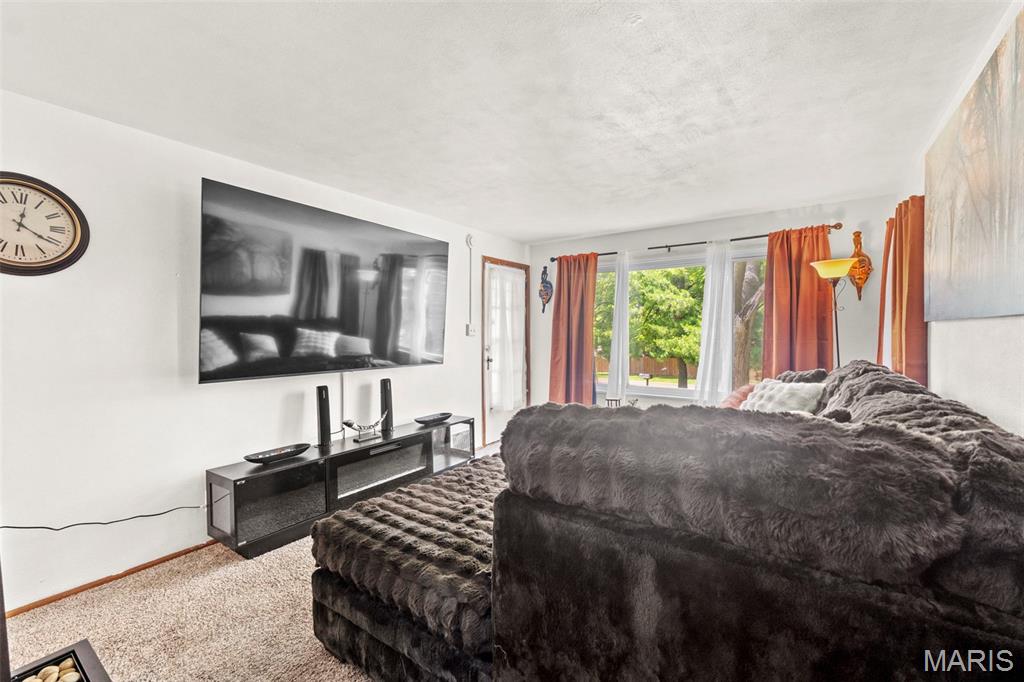 13600 Old Halls Ferry Road Florissant, MO 63033 - Photo 25 of 96