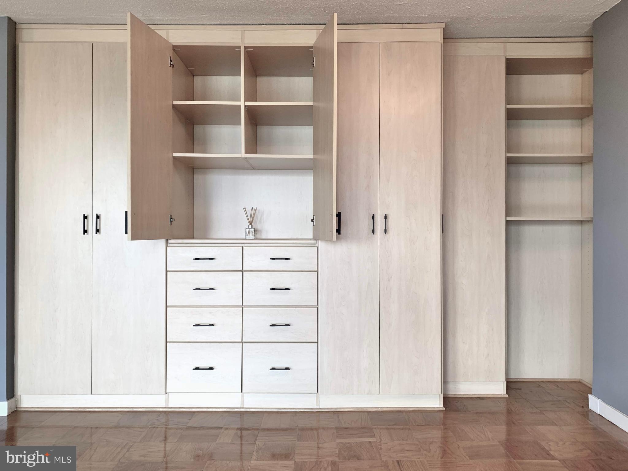 490 M Street Southwest, Unit W603 Washington, DC 20024 - Photo 2 of 31 Custom closets and storage galore!