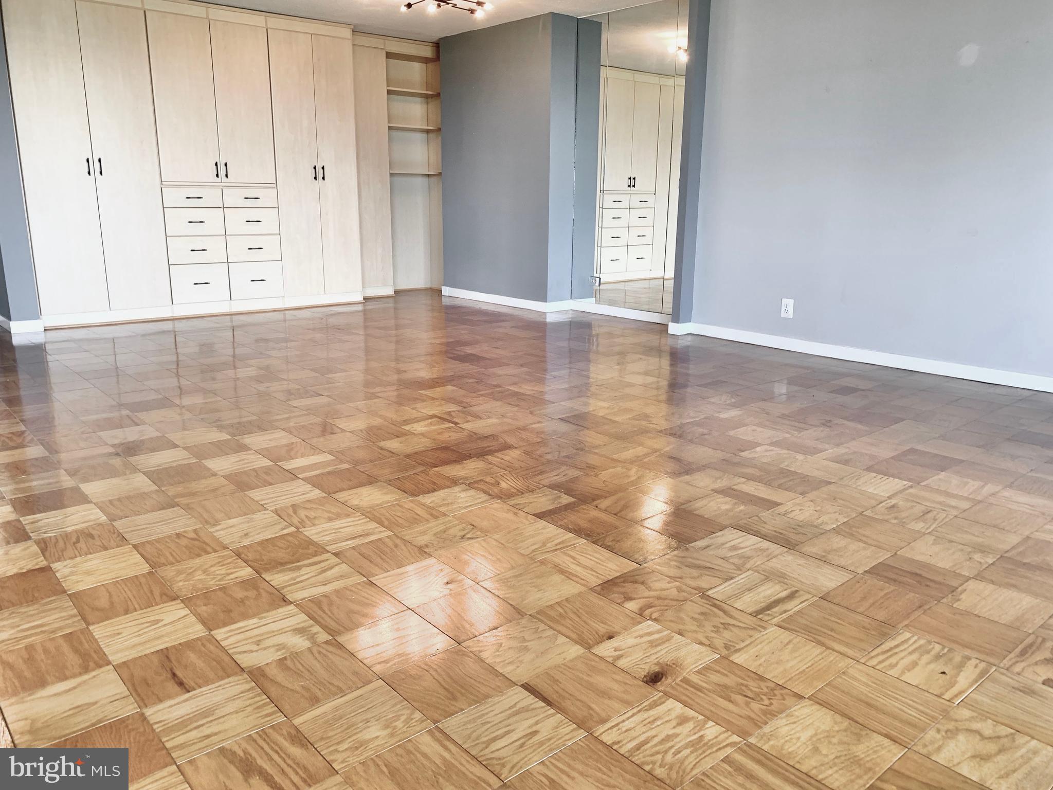 490 M Street Southwest, Unit W603 Washington, DC 20024 - Photo 4 of 31 Extra Large Living Dining