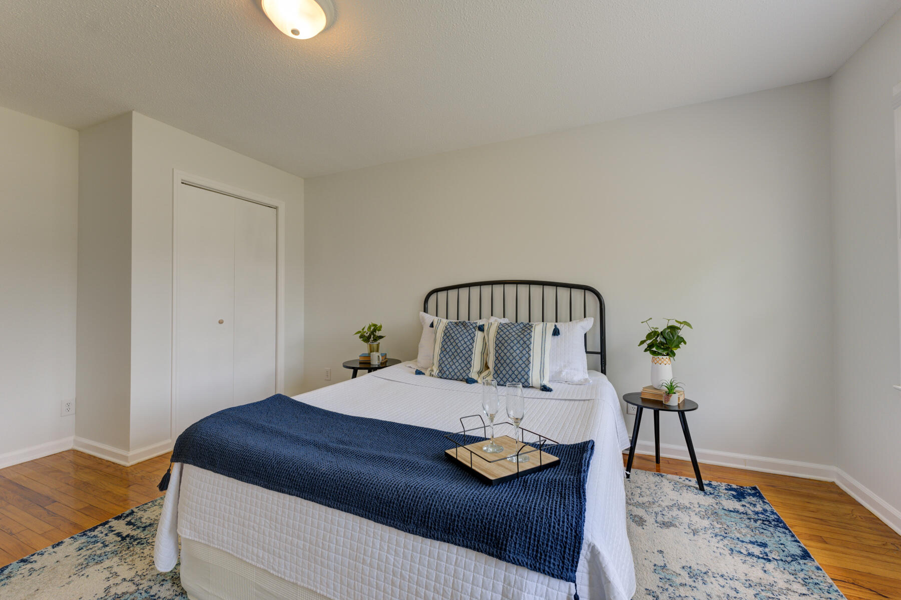 137 Ravenell Street Moncks Corner, SC 29461 - Photo 30 of 36 137 Ravenell St, Monck Corner SC (16)