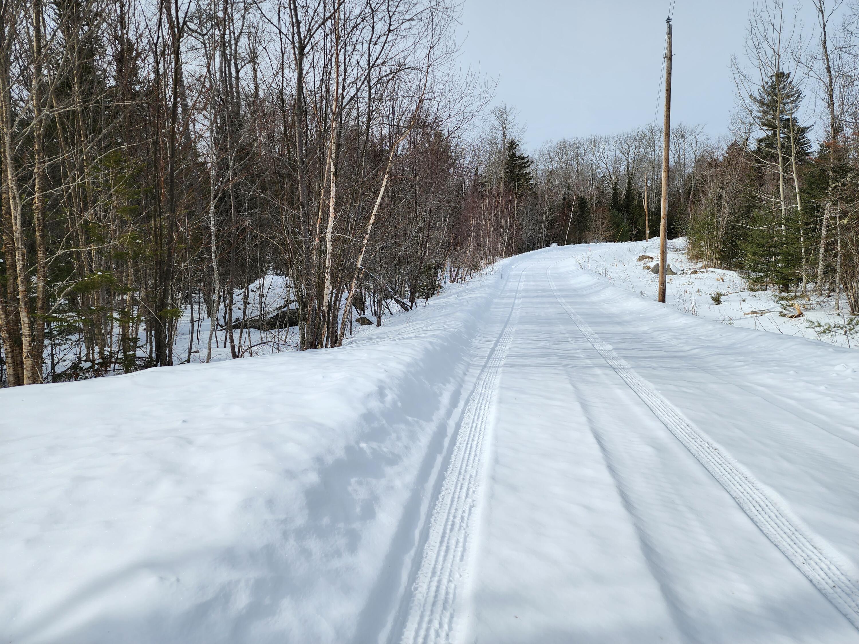 Lot 14 Birch Point Road Cooper, ME 04657 - Photo 7 of 12 20230228_104344