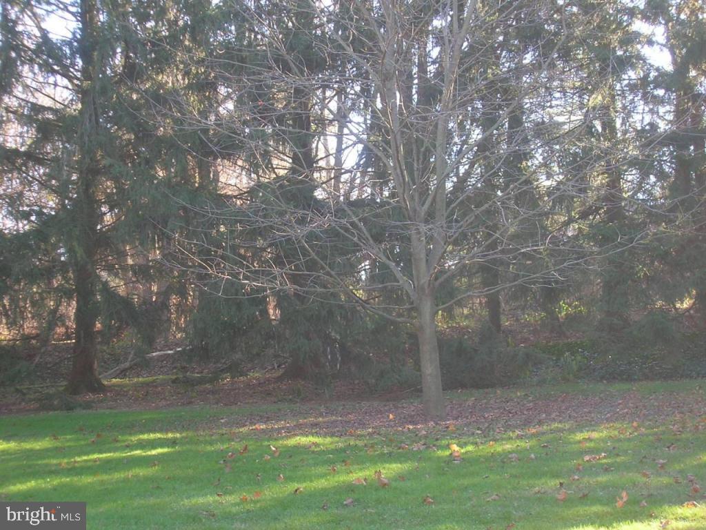 59 Leaman Road Lancaster, PA 17603 - Photo 16 of 19 Gallery Image 16