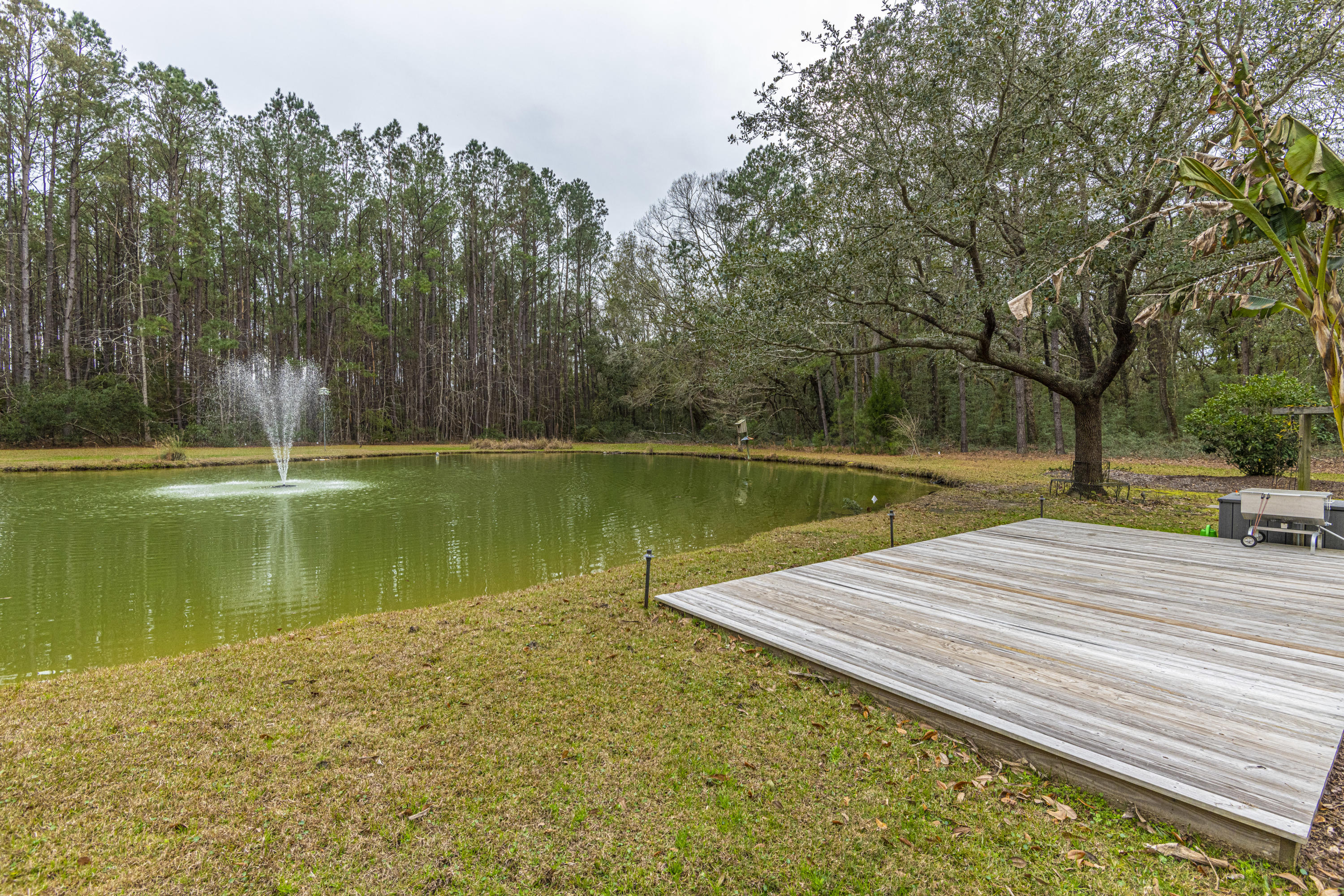 1479 Ravens Bluff Road Johns Island, SC 29455 - Photo 52 of 61 DSC_1894