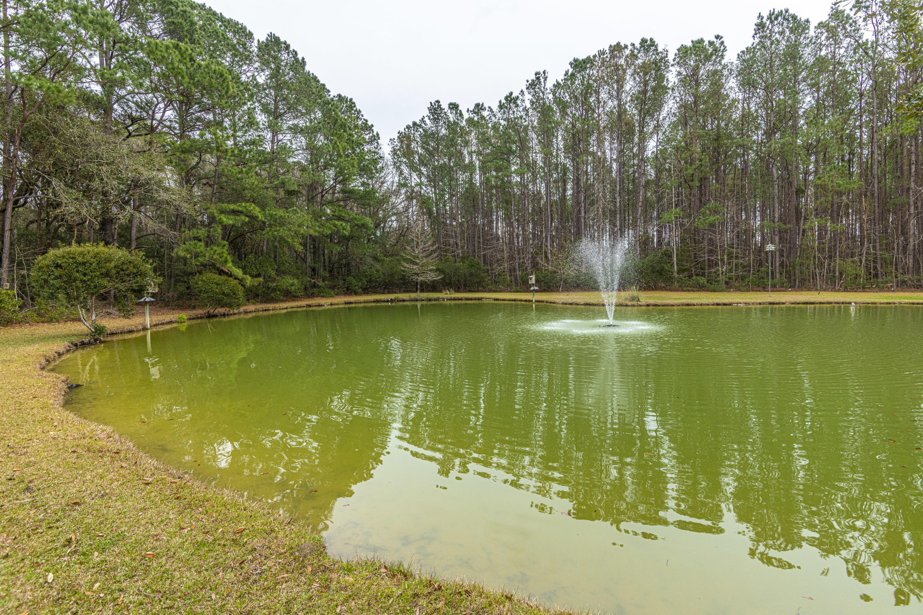 1479 Ravens Bluff Road Johns Island, SC 29455 - Photo 56 of 61 DSC_1893