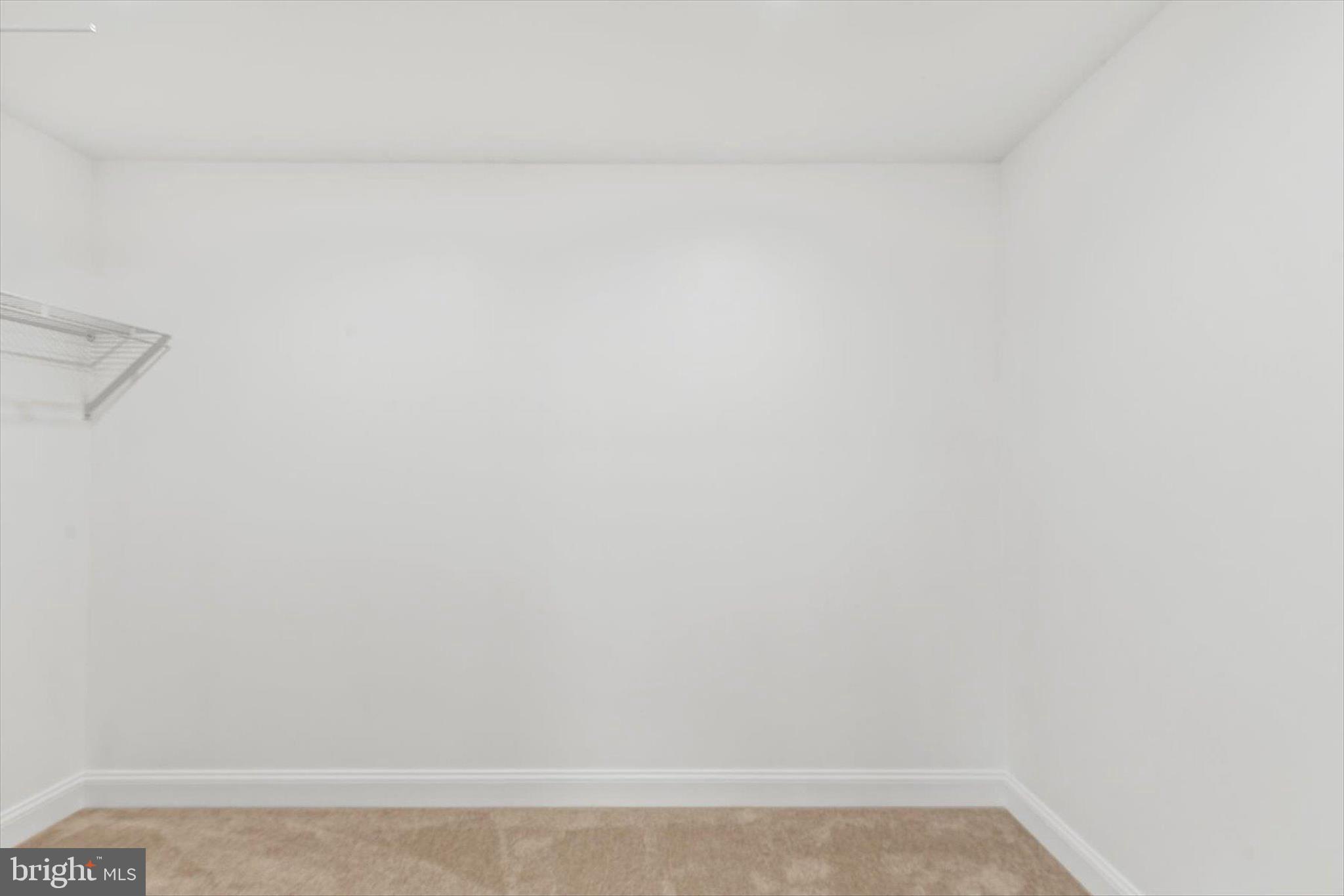 26395 Bay Farm Road Millsboro, DE 19966 - Photo 33 of 56 Primary Bedroom Walkin Closet