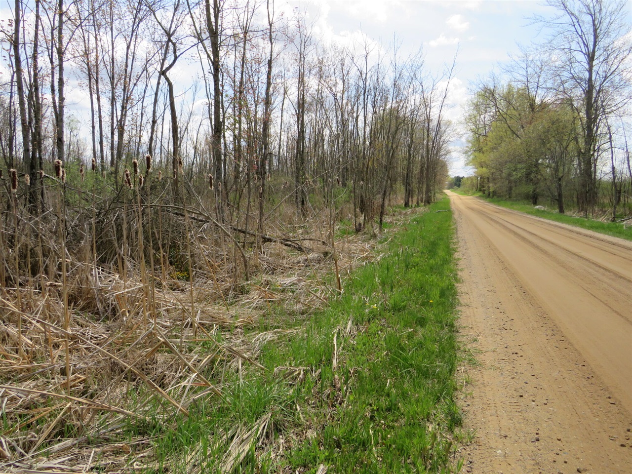 Peoples Road Blanchard, MI 49310 - Photo 2 of 26