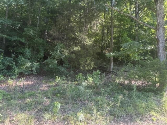 6 Carroll Hollow Road Waynesboro, TN 38485 - Photo 6 of 20 Gallery Image 6