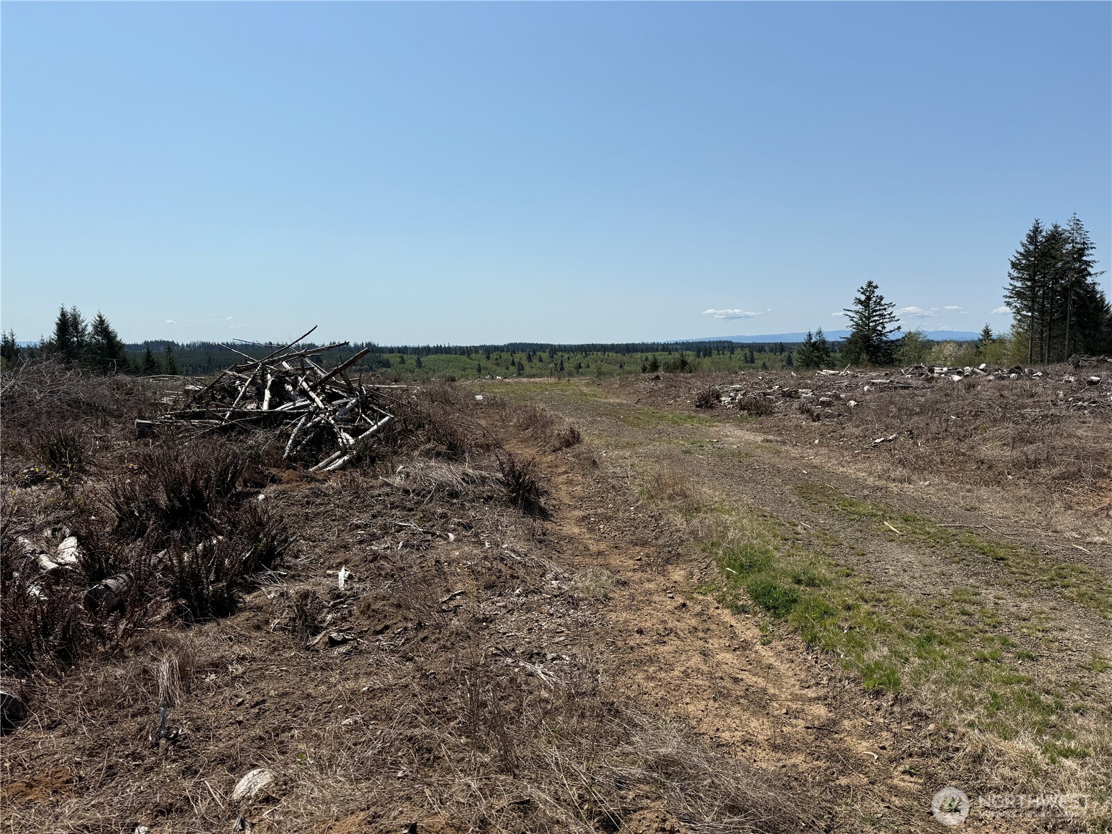 2-xx Oppelt Road Onalaska, WA 98570 - Photo 6 of 9 a view of a field with an ocean